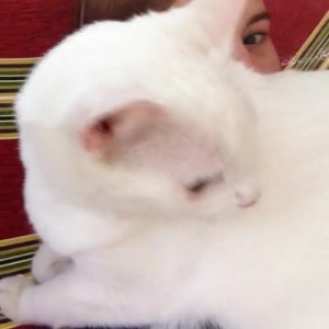 Video by aedanraynevip published on March 13,2023 23:33:00 - BestThots