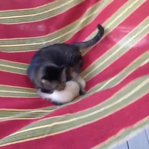Video by aedanraynevip published on May 10,2023 02:23:00 - BestThots