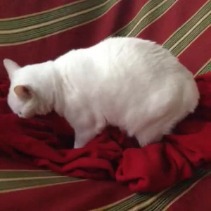 Video by aedanraynevip published on March 19,2023 13:14:00 - BestThots