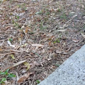 Video by aedanraynevip published on March 20,2023 00:53:00 - BestThots