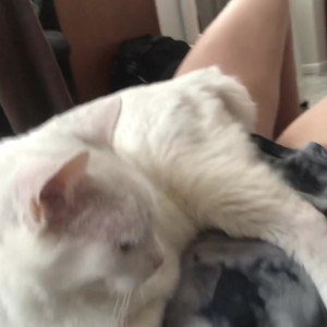 Video by aedanraynevip published on April 30,2023 01:03:00 - BestThots