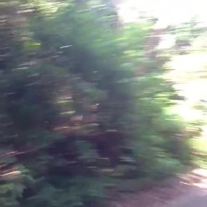 Video by aedanraynevip published on July 22,2023 07:03:00 - BestThots