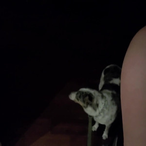 Video by aedanraynevip published on April 9,2023 13:59:00 - BestThots