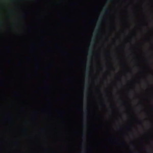 Video by aedanraynevip published on May 4,2023 10:42:00 - BestThots
