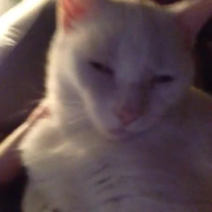 Video by aedanraynevip published on July 3,2023 17:54:00 - BestThots