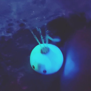 Video by little_bogar published on June 2,2023 10:56:00 - BestThots
