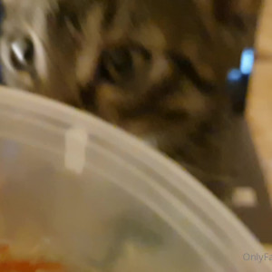 Video by adorable_alice published on November 20,2023 16:00:32 - BestThots