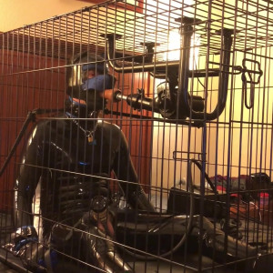 Video by pupwilde published on May 26,2023 11:36:00 - BestThots