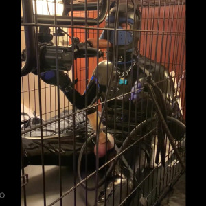 pupwilde #4819239