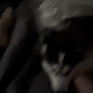 rhrpaige #5539554