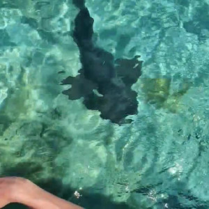 Video by danahamm published on May 14,2023 20:07:00 - BestThots