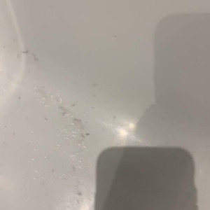 Video by goddesslola published on July 5,2023 08:16:00 - BestThots