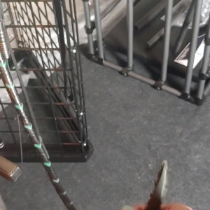 Video by mistressnoelknight published on June 4,2023 15:25:00 - BestThots