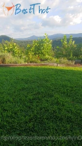 Video by mistressnoelknight published on January 20,2025 10:00:18 - BestThots