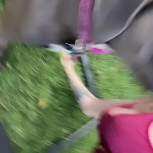 strawberrysqurtcake #3399668