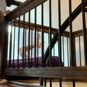 strawberrysqurtcake #3399741