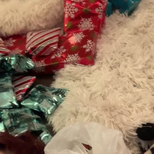 Video by oliviauncovered published on June 13,2023 01:44:00 - BestThots