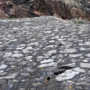 Video by ukcutegirl published on August 19,2023 15:48:17 - BestThots