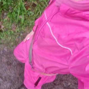 Video by ukcutegirl published on August 19,2023 15:50:20 - BestThots