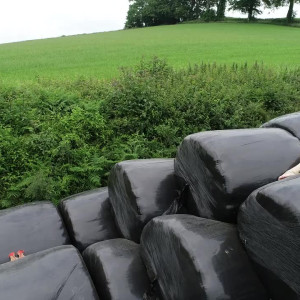 Video by ukcutegirl published on August 19,2023 16:14:46 - BestThots