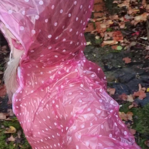 Video by ukcutegirl published on August 19,2023 17:04:07 - BestThots