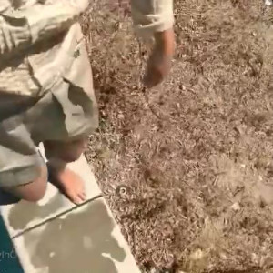 Video by onnaloves published on March 10,2023 03:46:00 - BestThots