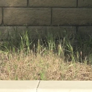 Video by onnaloves published on March 30,2023 06:53:00 - BestThots