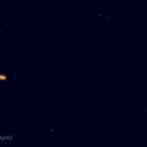 Video by bunnymonrow published on July 16,2023 20:03:00 - BestThots