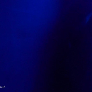 Video by sean_costin published on March 28,2023 16:57:00 - BestThots