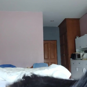 Video by littlemia published on May 14,2023 04:29:00 - BestThots