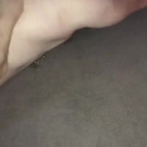 Video by gaiapadrona published on July 24,2023 01:34:00 - BestThots