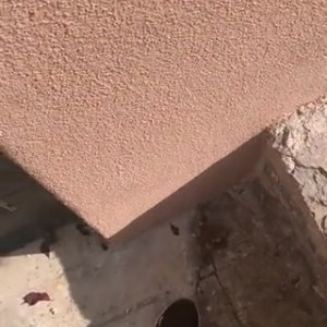 Video by gaiapadrona published on July 15,2023 19:37:00 - BestThots