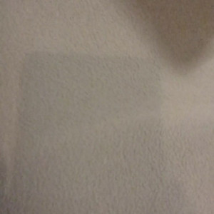 Video by piggybuilder published on August 19,2023 16:54:06 - BestThots