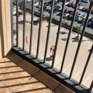 Video by nynyirene1 published on March 11,2023 10:59:00 - BestThots