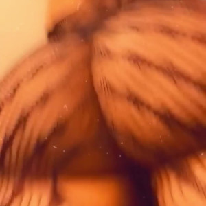 Video by nynyirene1 published on March 14,2023 11:16:00 - BestThots