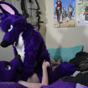 purplehuskymurr #3836474