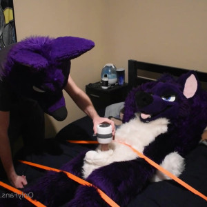 purplehuskymurr #3879568