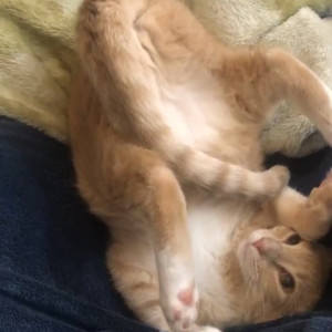 Video by ceelcee published on August 26,2023 01:03:00 - BestThots