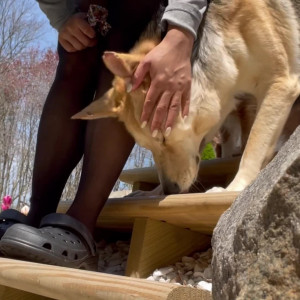 Video by ivyydream published on March 12,2023 19:37:00 - BestThots