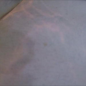 Video by femalefeederheaven published on August 4,2023 01:04:00 - BestThots