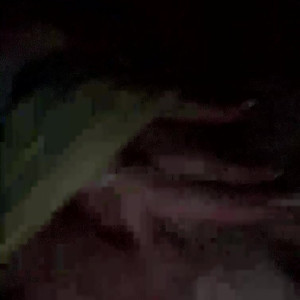 Video by coconutkitty published on March 2,2023 05:38:00 - BestThots