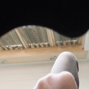 Video by giantesselixs published on April 23,2023 05:59:00 - BestThots