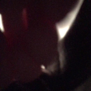 giantesselixs #5180774