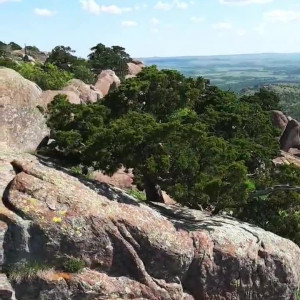 Video by cynthiatazer published on August 7,2023 08:50:00 - BestThots