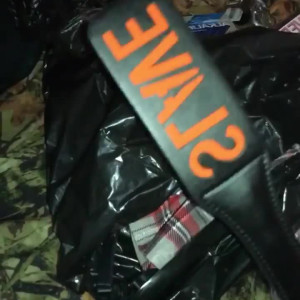 Video by martianincharge published on May 7,2023 21:58:00 - BestThots