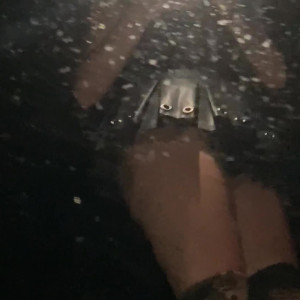 Video by martianincharge published on April 30,2023 04:01:00 - BestThots