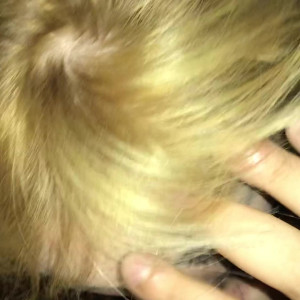 Video by martianincharge published on March 26,2023 09:19:00 - BestThots