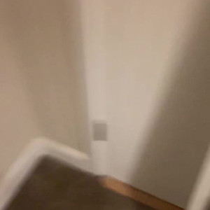 Video by ayllagatina published on April 10,2023 09:41:00 - BestThots