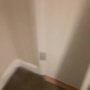 Video by ayllagatina published on July 17,2023 08:29:00 - BestThots