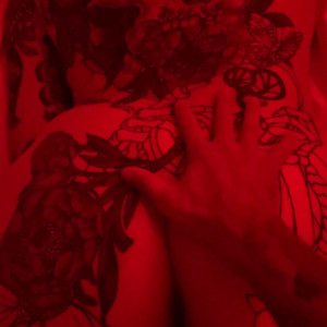 Video by sbdolphin published on April 29,2023 13:50:00 - BestThots